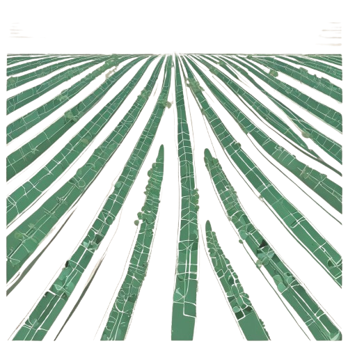 A stylized illustration of green palm leaves on a white background