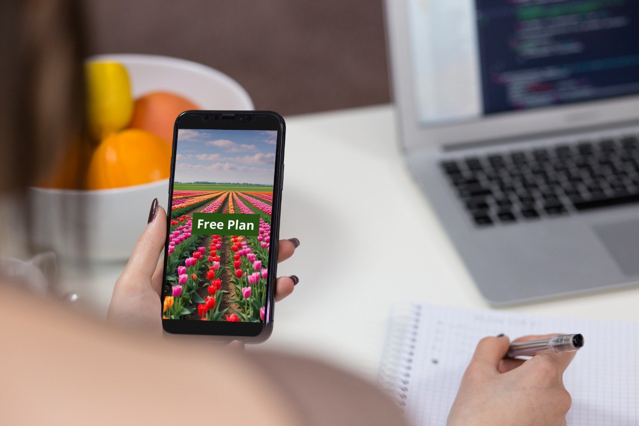 Free Plan – Cpphynn