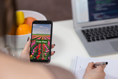 Person holding a smartphone with a tulip C++ course cover 'Free Plan' on a desk with a laptop and fruit bowl.