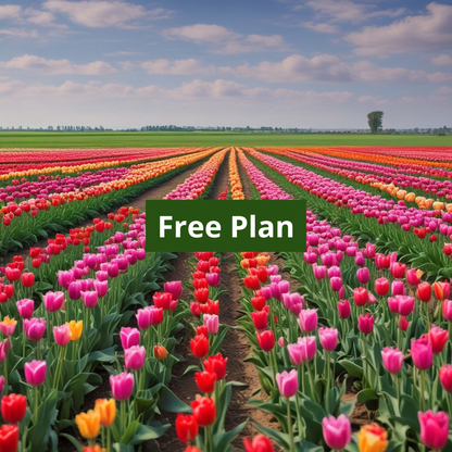 Colorful tulip C++ course cover with a 'Free Plan' text overlay.